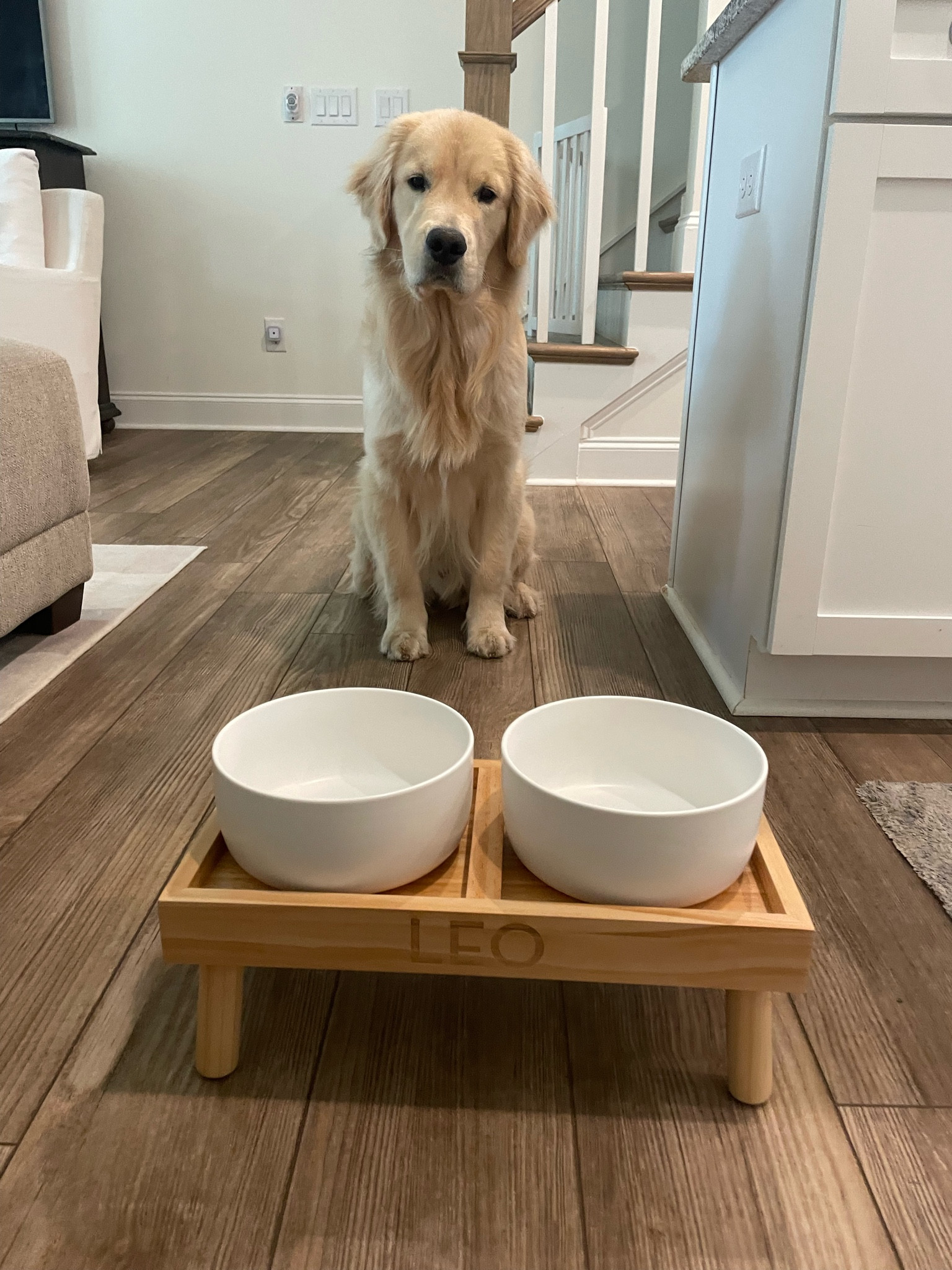 🐶🤍

#LTKBaby #LTKHome #LTKStyleTip