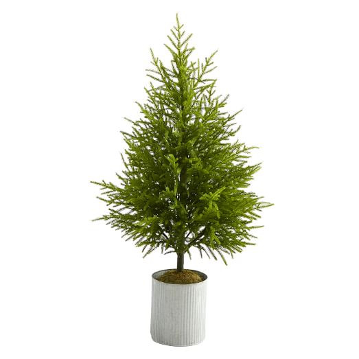 Faux Norfolk Island Pine Tree | West Elm (US)