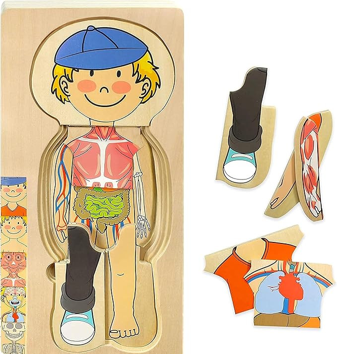 Kidzlane Boy Wooden My Body Puzzle for Toddlers & Kids - 29 Piece Boys Anatomy Puzzle Kid Play Se... | Amazon (US)