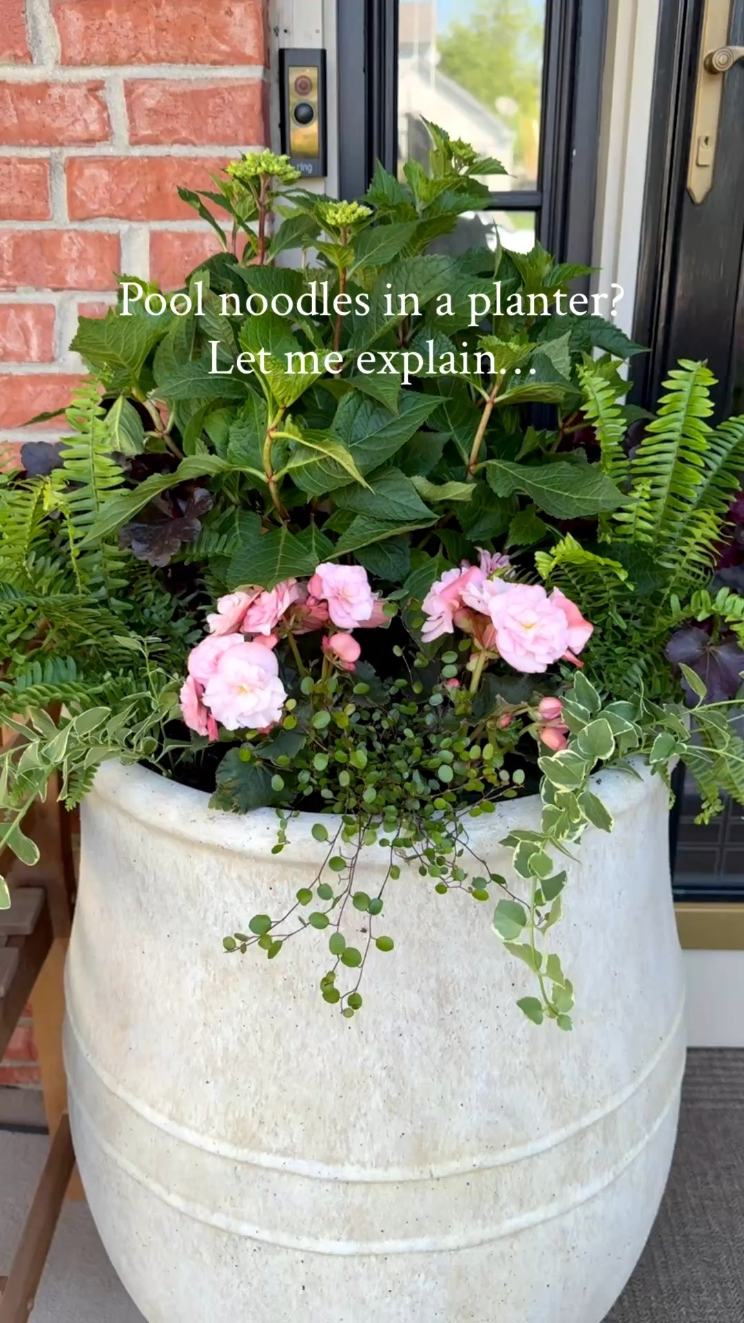 Linked planters, dupe and other details. Please note, my planters are quite large so this is what I did on mine. In other planters, I’ve used empty water bottles with the lid on it so the bottle doesn’t get crushed once the dirt is over it. It will take more space that way. Others have used the empty containers the plants came in. 
 
🪴Here’s the list of shade friendly plants I used…

🤍Endless Summer Cloud hydrangea- this will bloom
white flowers
🩷Coral Bells Heuchera Indian Summer Bilberry
💚Kimberly Queen fern
💚Vinca vine Vinca major- this will trail over the planter
🩷Begonia Hiemalis Move 2 Joy Pink
💚Wire vine Muehlenbeckia- this will trail over the
planter

#LTKSeasonal #LTKHome #LTKSaleAlert