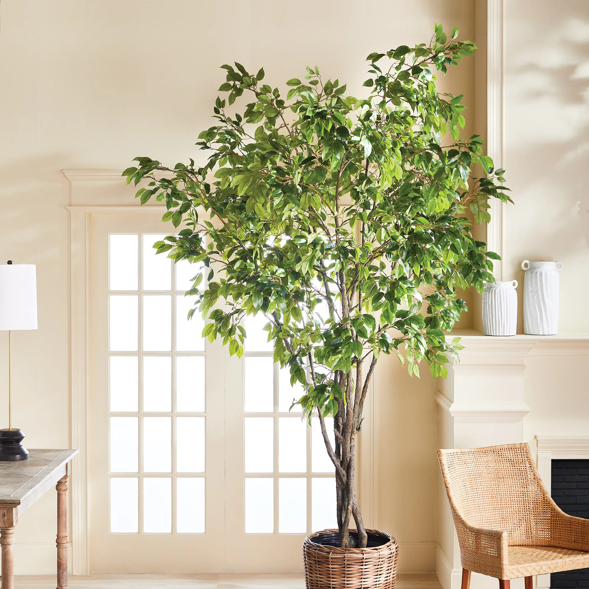 Primrue LeeRoy Grand Ficus Tree Drop-In - Wayfair Canada | Wayfair North America