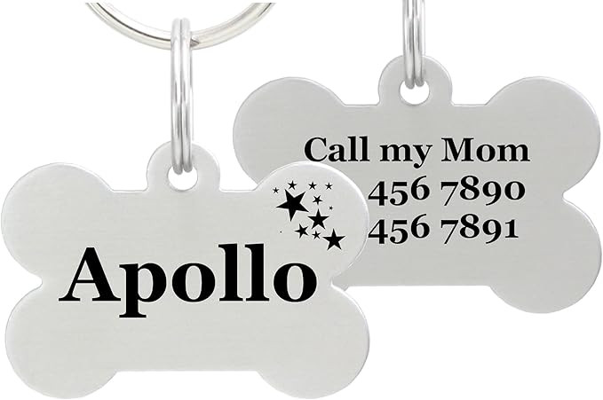 io tags Double Sided Laser Etched Stainless Steel Pet ID Tag for Dog Engraved and Personalized Bo... | Amazon (US)