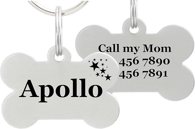 io tags Double Sided Laser Etched Stainless Steel Pet ID Tag for Dog Engraved and Personalized Bo... | Amazon (US)