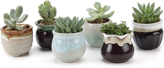 T4U Small Ceramic Succulent Pots with Drainage Set of 6, Mini Pots for Plants, Tiny Porcelain Pla... | Amazon (US)