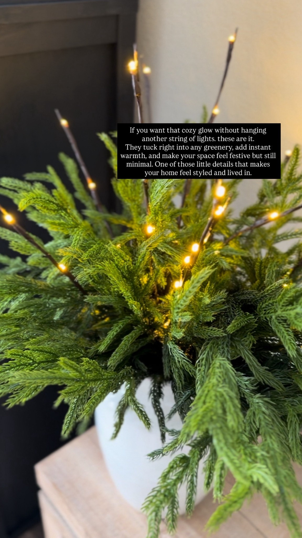 Christmas light up branches 

christmas decor
holiday decor
christmas decorating
neutral christmas
cozy christmas
timeless holiday style
simple christmas decor
classic christmas
affordable christmas finds
christmas ideas

#LTKHome #LTKSeasonal #LTKHoliday