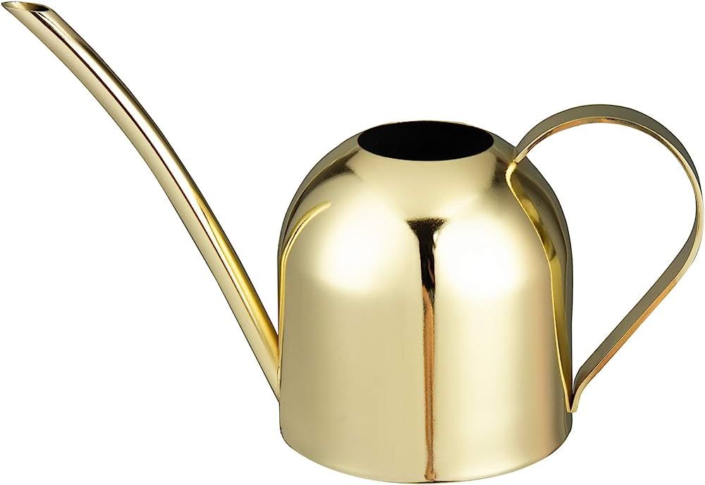 IMEEA Gold Watering Can House Watering Can for Indoor Plants Orchid Bonsai Desk Office Stainless ... | Amazon (US)