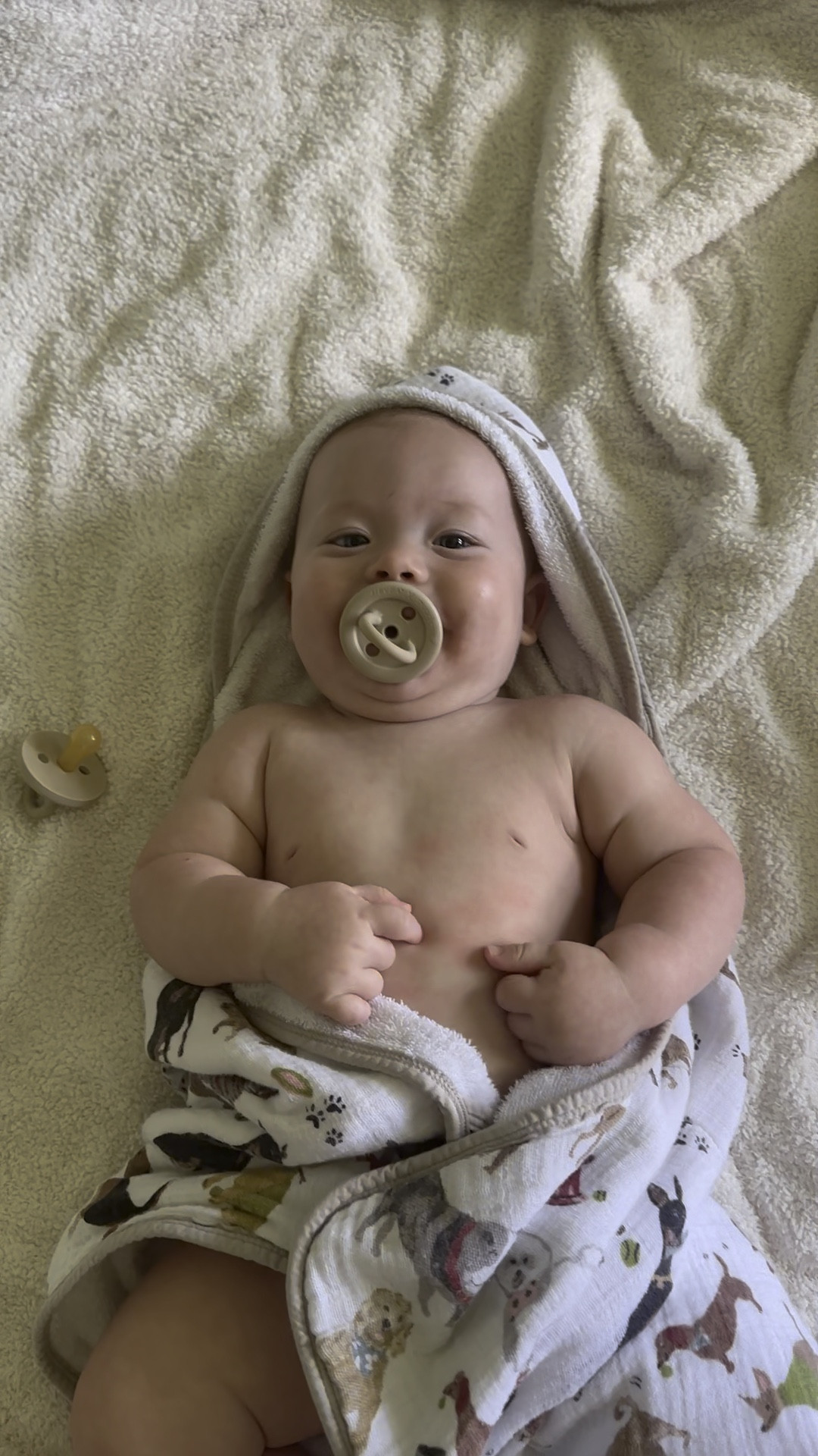 #LTKkids #LTKbump #LTKbaby