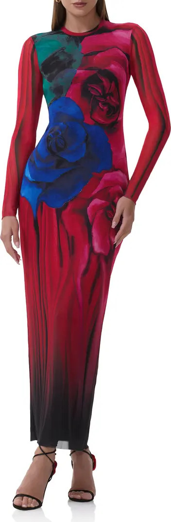 Didi Printed Long Sleeve Mesh Maxi Dress | Nordstrom