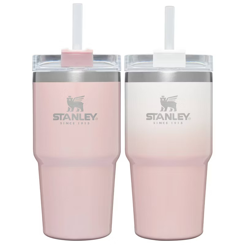 Stanley 2pk 20oz Stainless Steel Adventure Quencher Tumblers | Target
