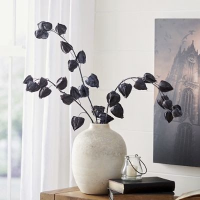 Black Chinese Lantern Stems,  Set of Three | Grandin Road