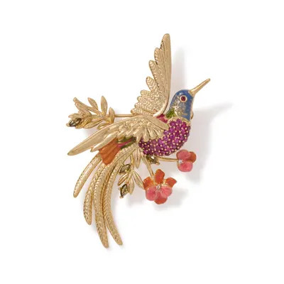 French Hummingbird Brooch | The MET