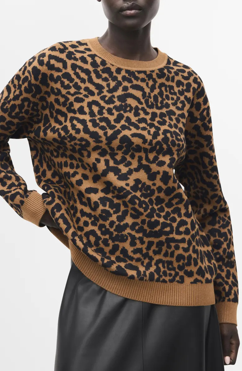 Leopard Crewneck Sweater | Nordstrom