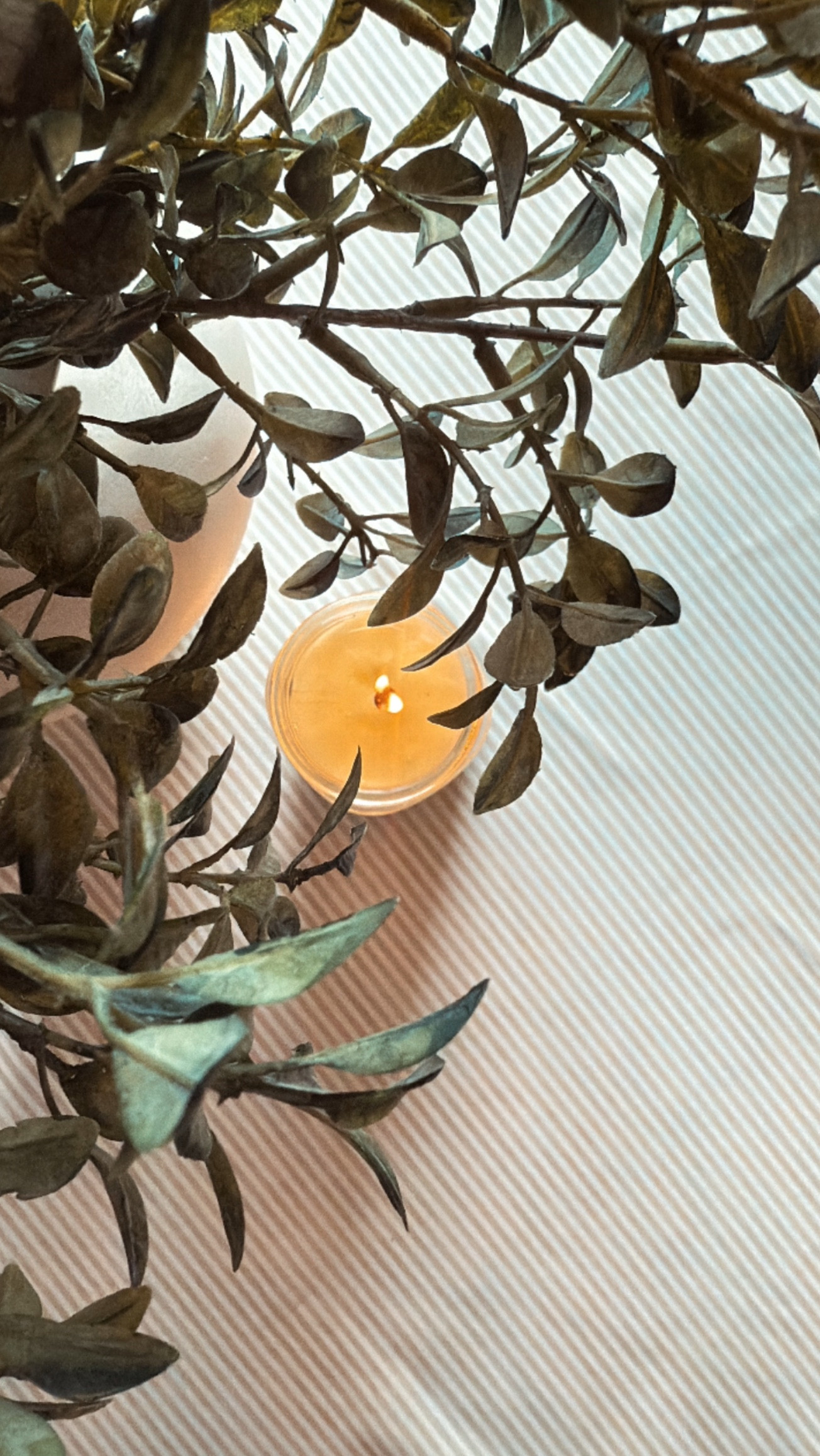 pov: you love a beautiful table, but you also have toddlers 🙃
so you find one that holds up to sticky fingers, spilled juice, and still makes dinner feel like an occasion.
 
I’m all for making ordinary moments feel a little more lovely, especially when I can do it without making more work for myself. this one’s wrinkle-resistant, spill-resistant, and totally toddler-proof (almost).
 
linked in my ltk!

#ad #table06 #ltkhome #everydayhospitality #intentionalmotherhood #slowlivingmom #cozyhomekeepers