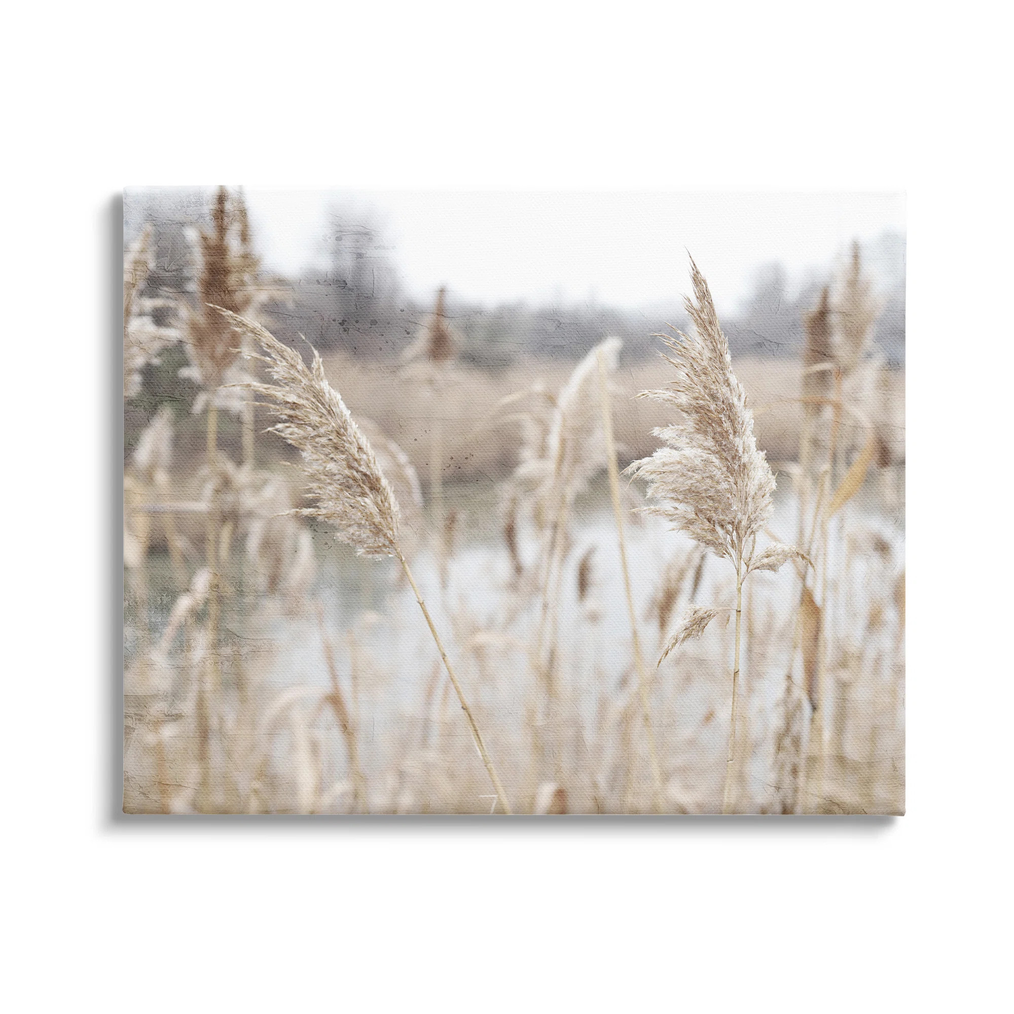 " Rural Pampas Grass Reeds Lakeside Pond Marsh " by Kim Allen | Wayfair North America