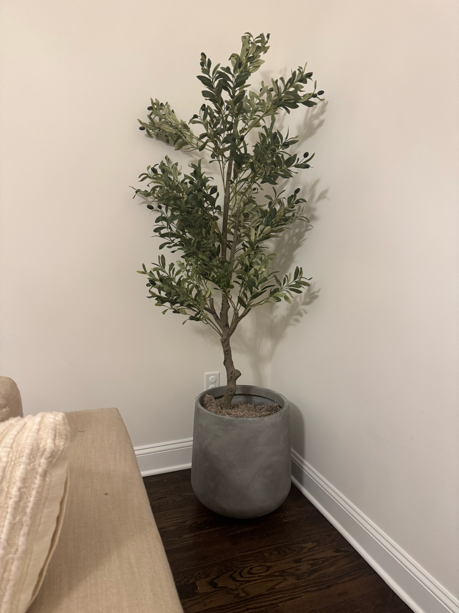 Obsessed with this faux olive 🫒 tree looks so real and was so affordable - Amazon find 

#LTKHome #LTKStyleTip #LTKCyberWeek