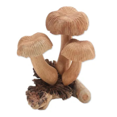 Jempinis Wood Mushroom Figurine from Bali | NOVICA