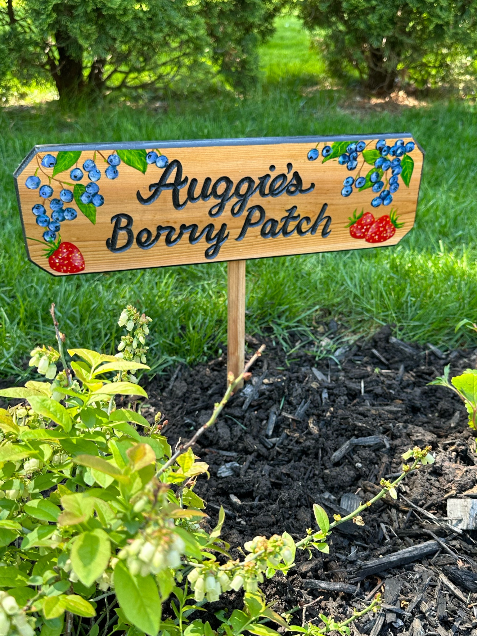 custom garden sign 🪧 🍓🫐 message the seller before ordering 🫶🏼

#LTKKids #LTKHome #LTKFamily