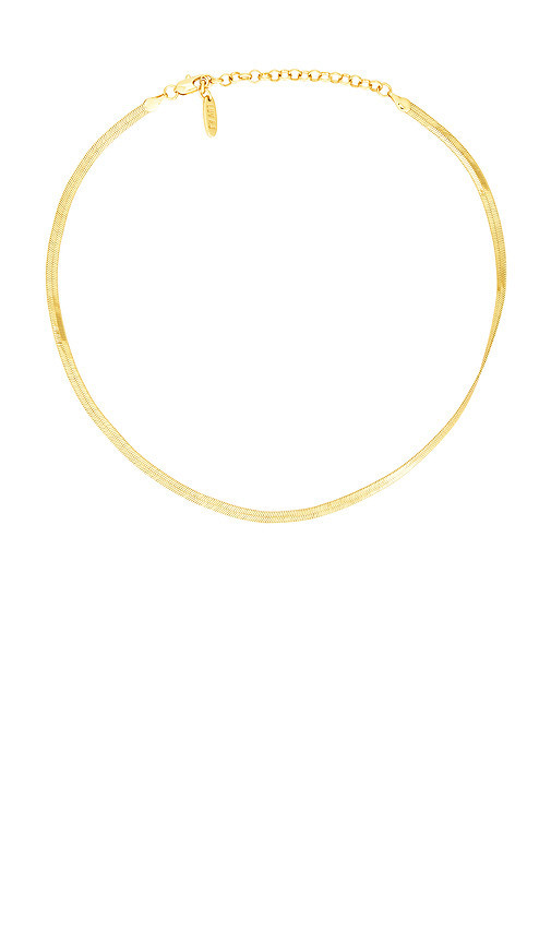 Luv AJ KETTE CLASSIQUE in Metallic Gold. | Revolve Clothing (Global)