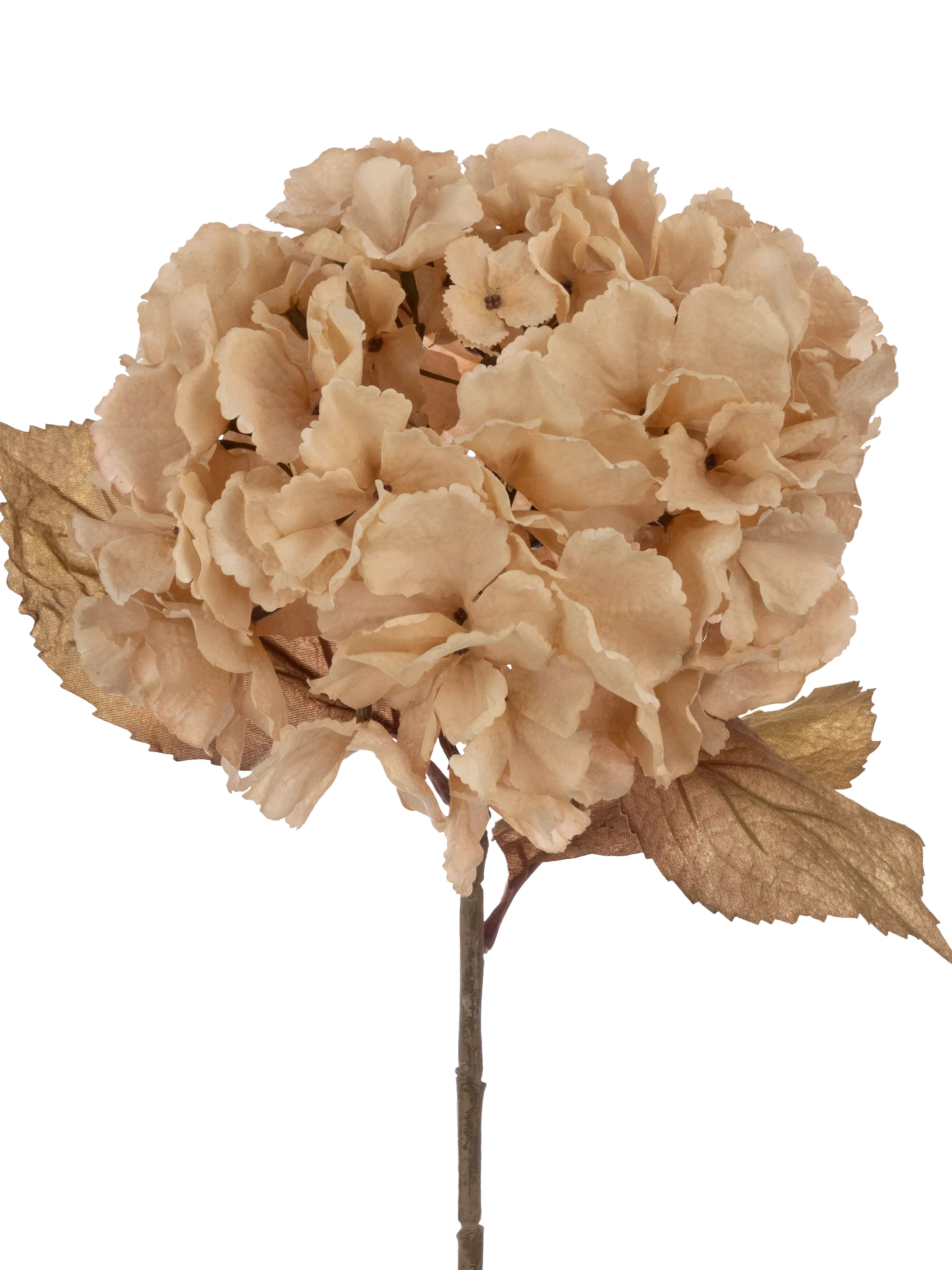 Floralsilk Artificial Autumn Hydrangea Stem, 80cm, Cream | John Lewis (UK)