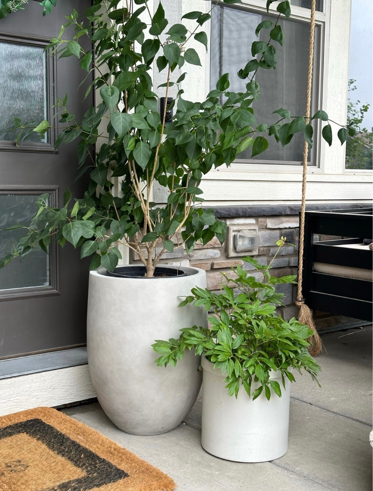 Love this planter! Top seller last year.


#LTKOver40 #LTKSeasonal #LTKHome