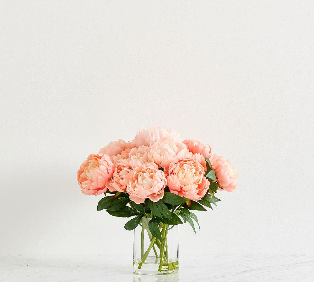 Faux Composed Coral Peonies | Pottery Barn (US)