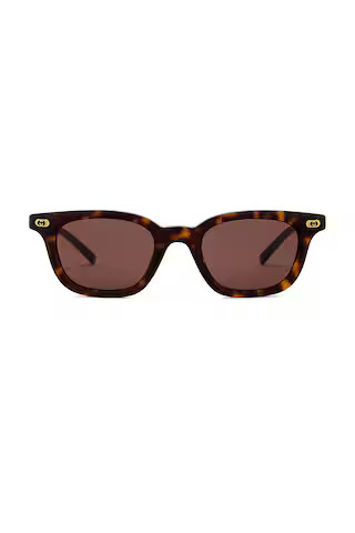 Gucci Round Sunglasses in Havana & Brown from Revolve.com | Revolve Clothing (Global)