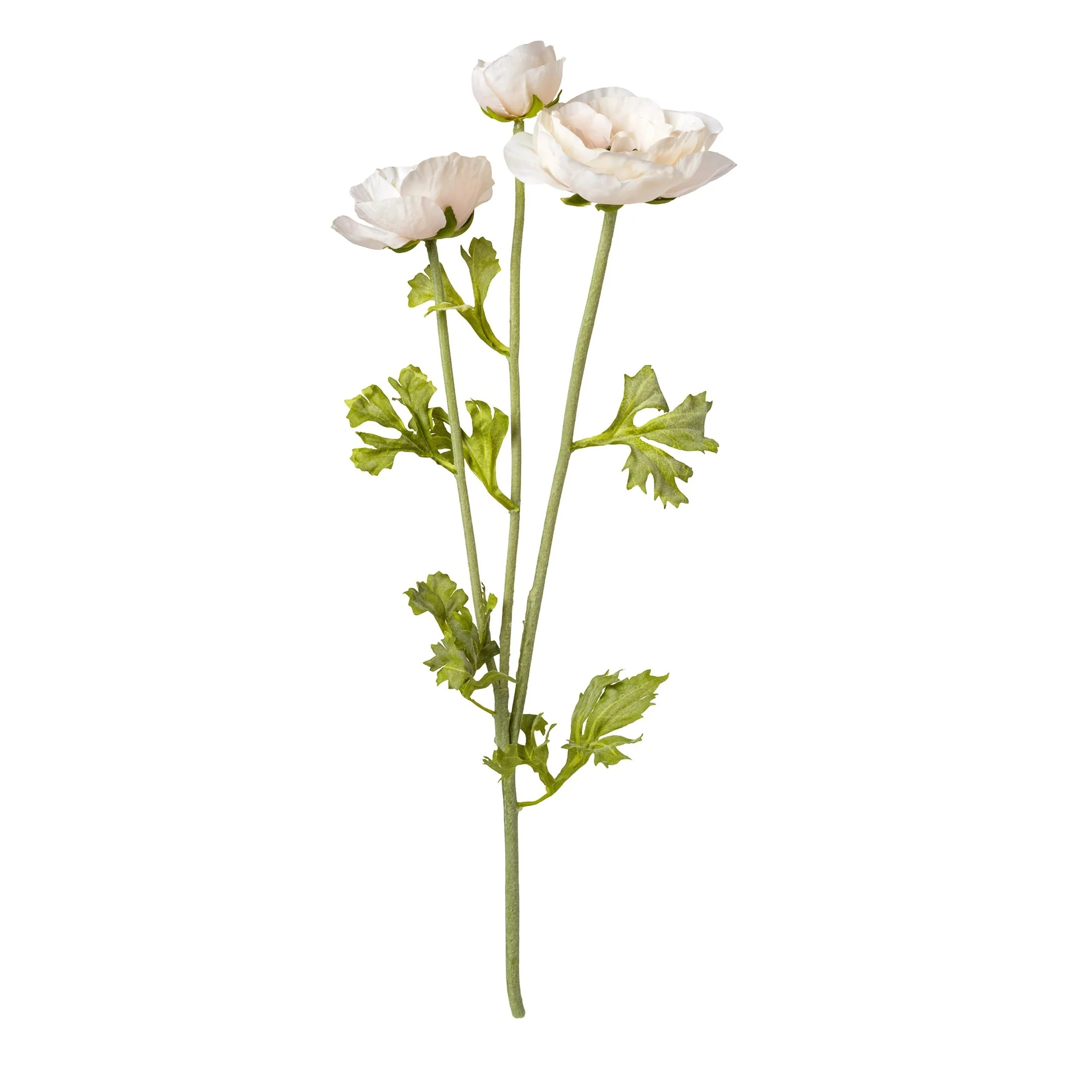 Cream Ranunculus Faux Stem | Cailini Coastal