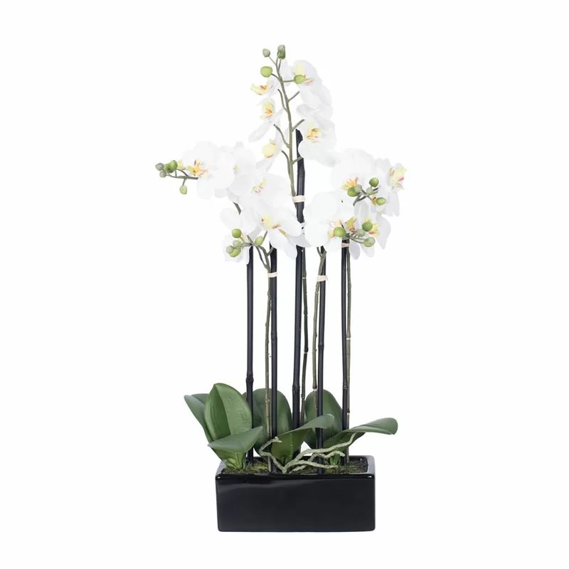 Orchid Floral Arrangement in Planter | Wayfair North America