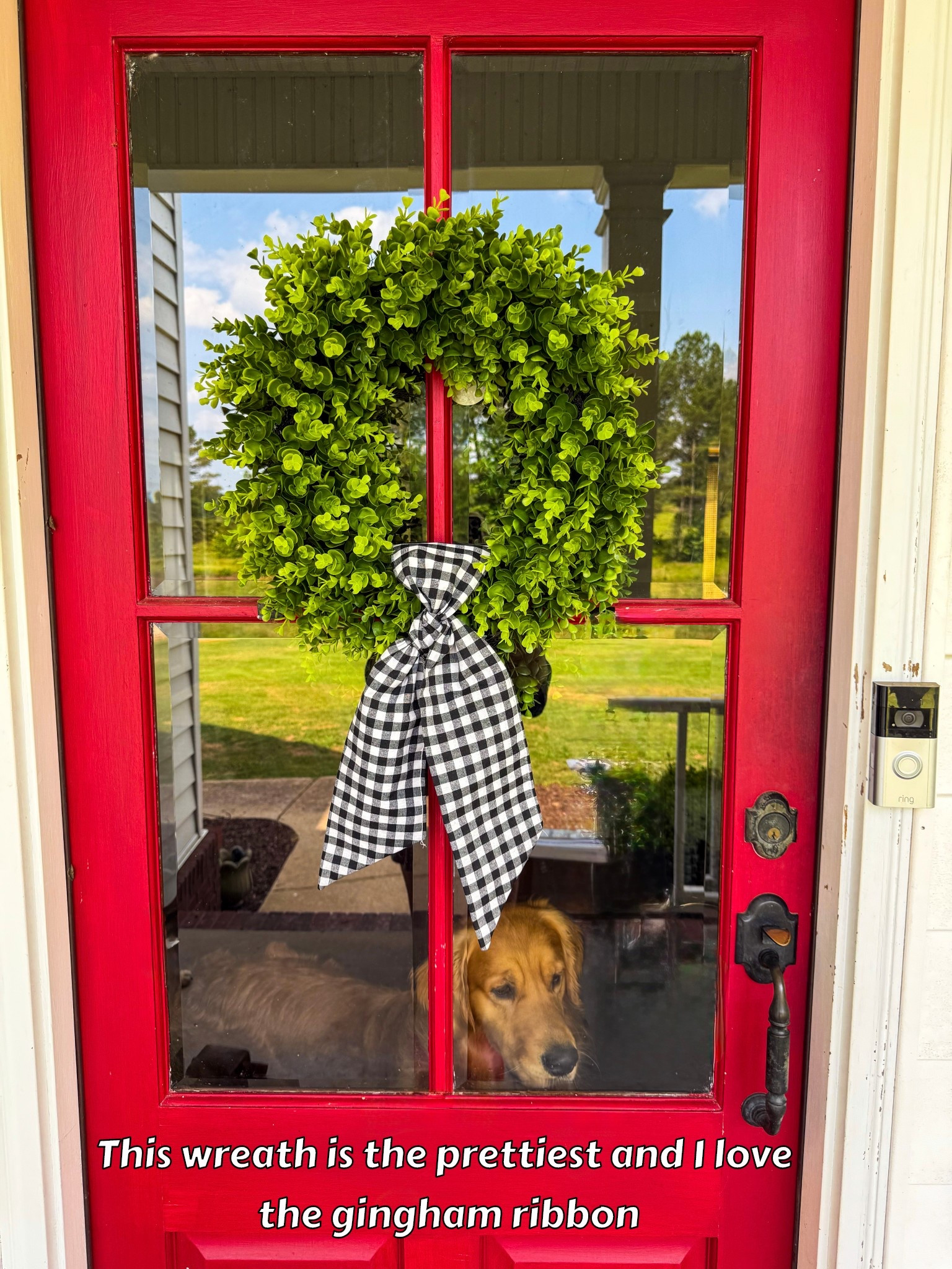 Love this Amazon wreath! It’s great quality folds up and comes with this adorable gingham ribbon. 


#LTKHome #LTKStyleTip #LTKFindsUnder50