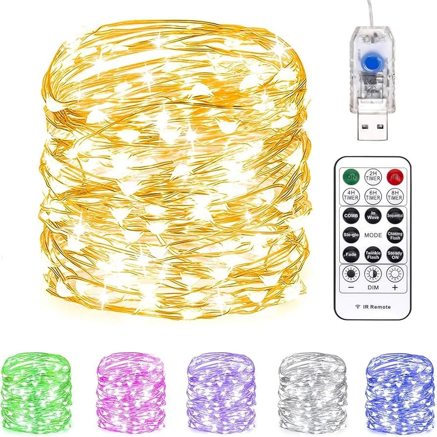 Fairy Lights 33 ft 100 LED USB Twinkle String Lights Plug in Silver Wire Lights with Remote and T... | Amazon (US)