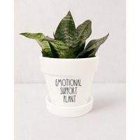 Emotional Support Plant Indoor Planter | Rae Dunn Inspired Pot with Saucer Funny Pots For Plants Not | Etsy (US)