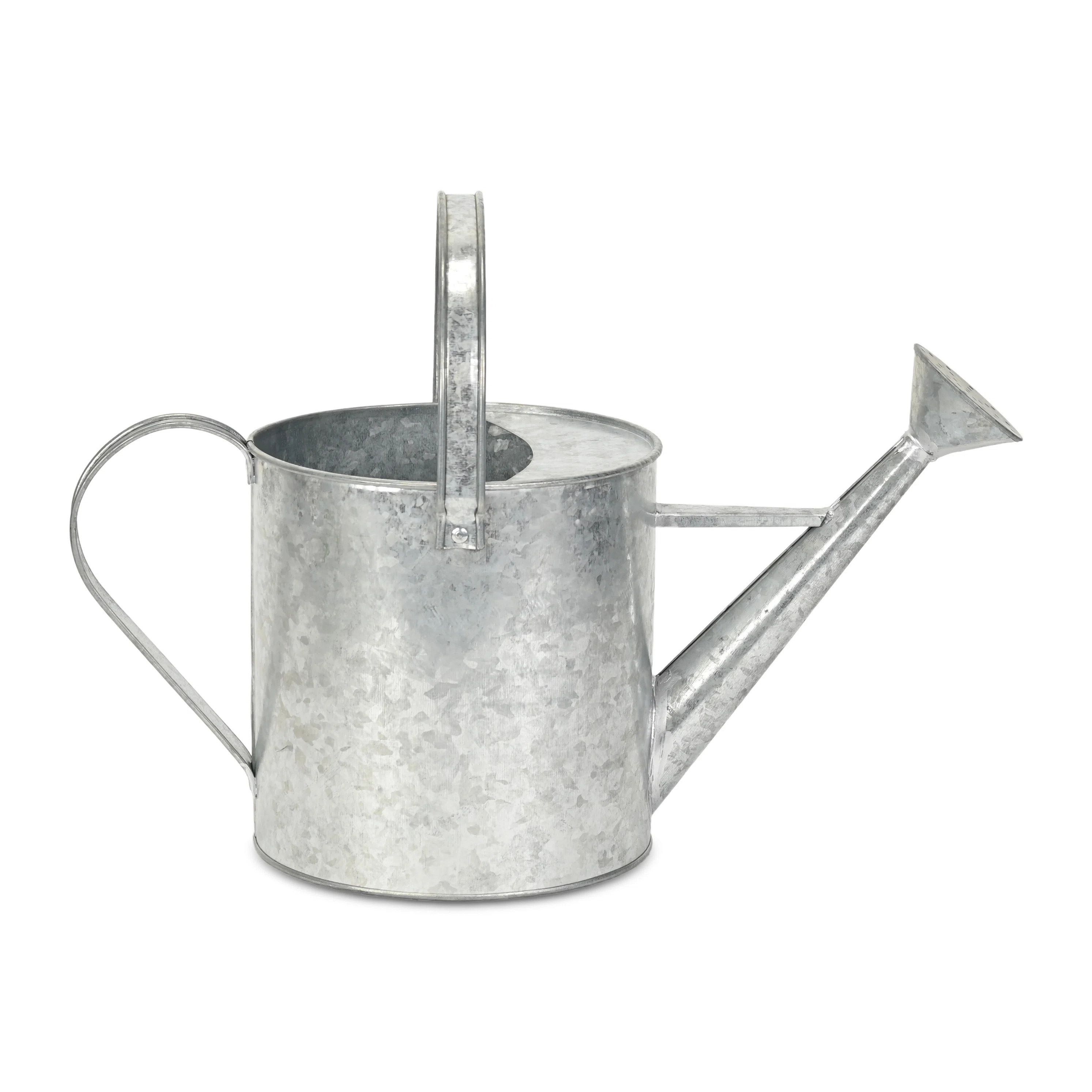 Valta Galvanized Metal Decorative Watering Can | Wayfair North America