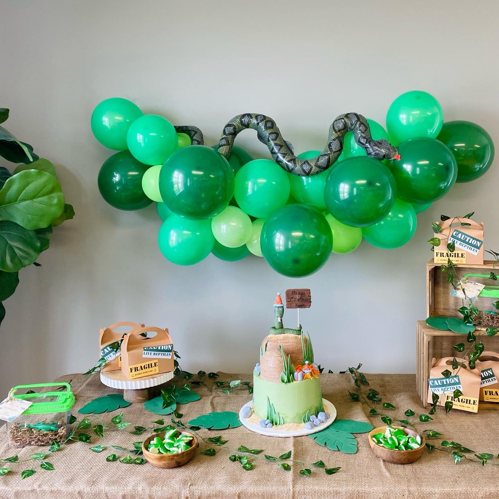 Reptile party | slither hop crawl | snakes | lizards | party decor | birthday theme

#LTKfamily #LTKkids #LTKparties
