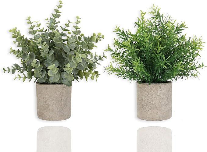 Homcomoda 2 Pack Mini Artificial Potted Plants Faux Eucalyptus & Rosemary Greenery in Pots for In... | Amazon (CA)