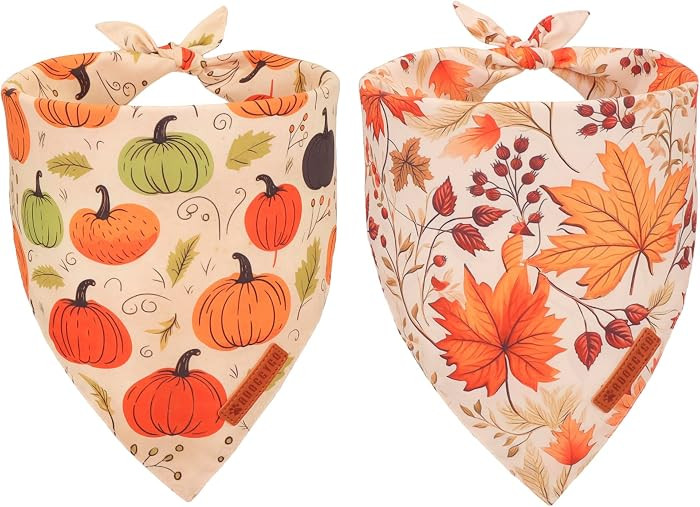 ADOGGYGO Fall Dog Bandana, Pumpkin Maple Leaf Autumn Thanksgiving Pet Scarf, Adjustable Fit Fall ... | Amazon (US)