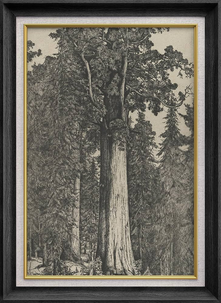 SIGNWIN Premium Frame Art Antique Style Etched Woodland Scene Elegant Illustrations Fine Art Trad... | Amazon (US)