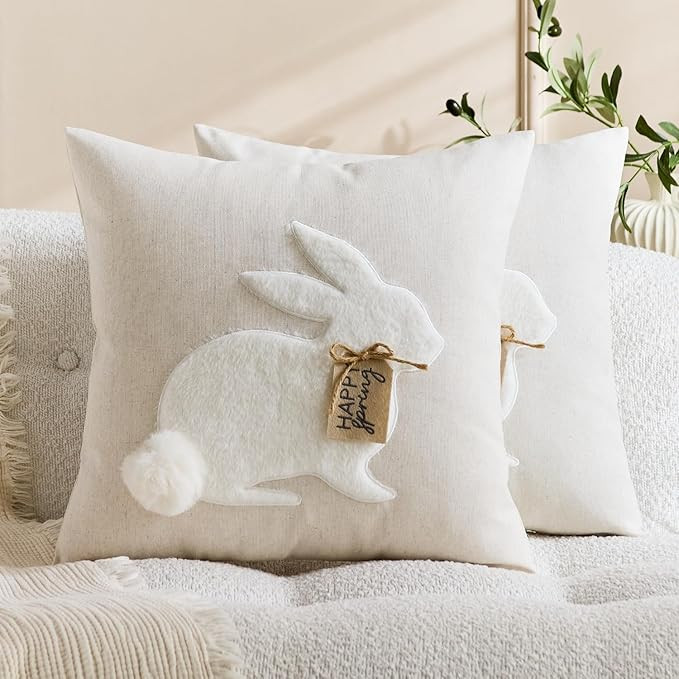 Spring Set of 2 Easter Embroidered Pillow Covers, Soft Plush Bunny Design Cushion Covers, Invisib... | Amazon (US)