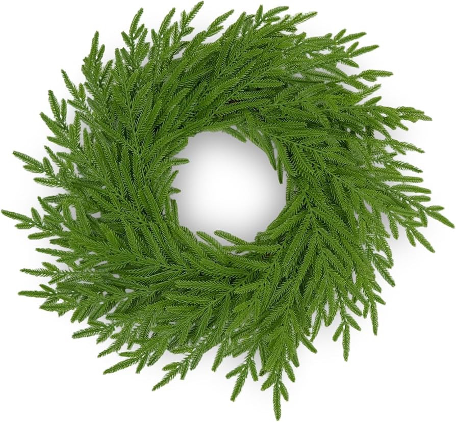 24" Norfolk Pine Wreath for Front Door – Christmas Wreath Artificial Greenery with Real Touch F... | Amazon (US)