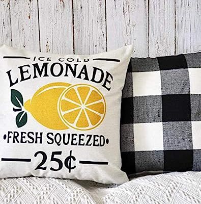 Flowershave357 Fresh Squeezed Lemonade Pillow Cover Lemons Fresh Lemonade Great for couches bedro... | Amazon (US)
