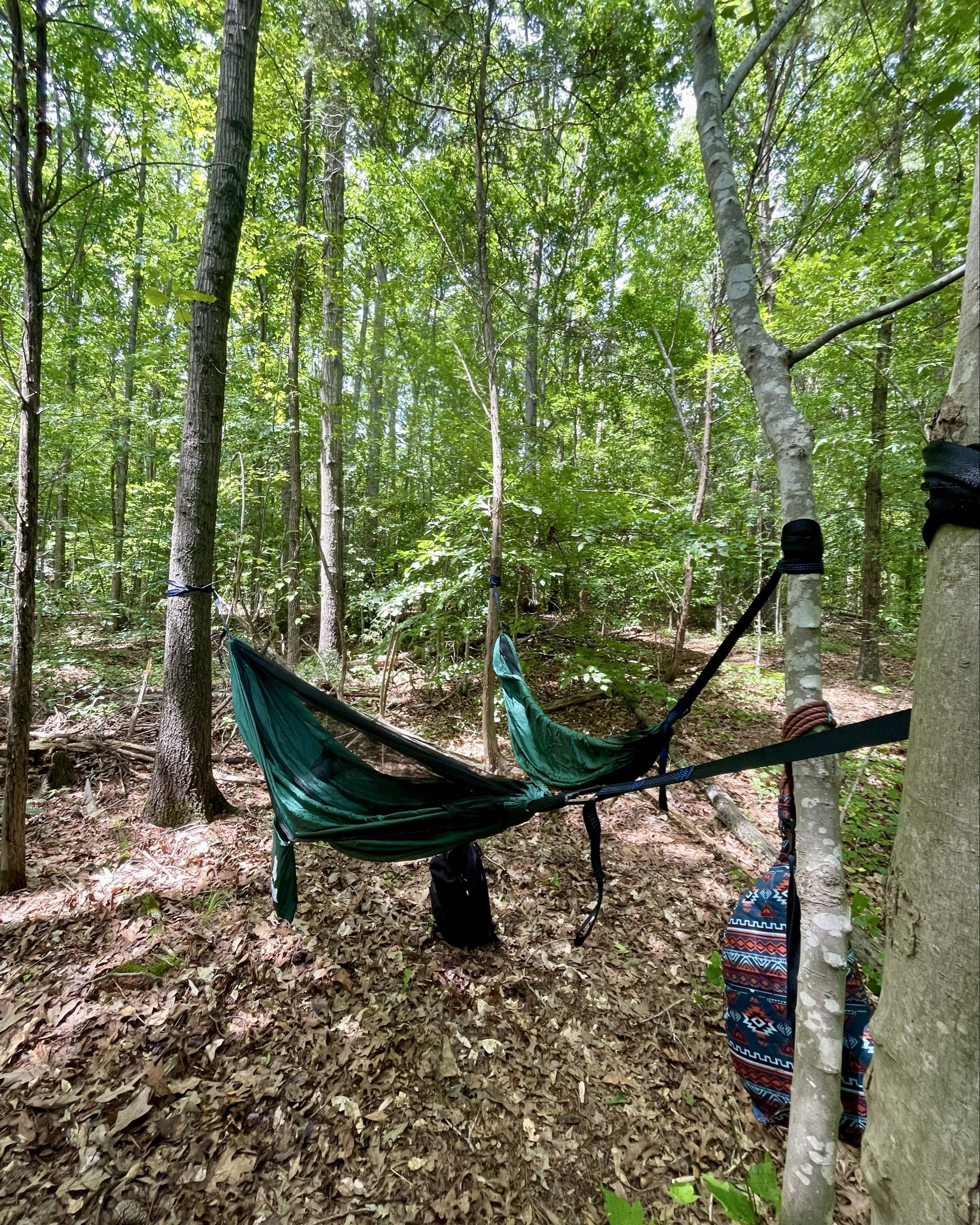 Covacure Camping Hammock - Lightweight Double Hammock, Hold Up to 772lbs, Portable Hammocks for Indoor, Outdoor, Hiking, Camping, Backpacking, Travel, Backyard, Beach（Dark Green）

#LTKFindsUnder100 #LTKTravel #LTKSummerEdit