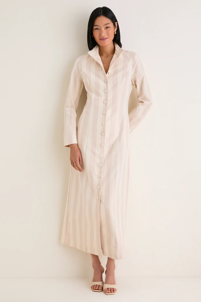 Parlor Stripe Cambridge Coat Dress | Tuckernuck (US)