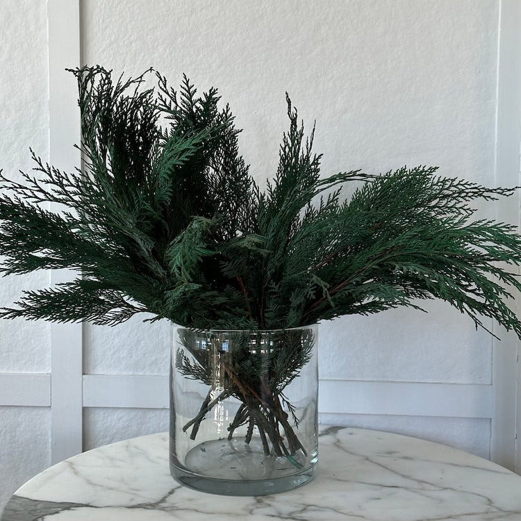 Preserved Cedar Branches - Natural Holiday Greenery | Bloomist | Bloomist, Inc