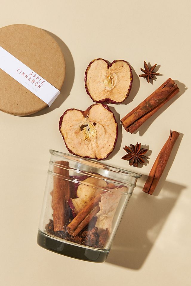 Stovetop Simmer Fragrance Kit | Anthropologie (US)