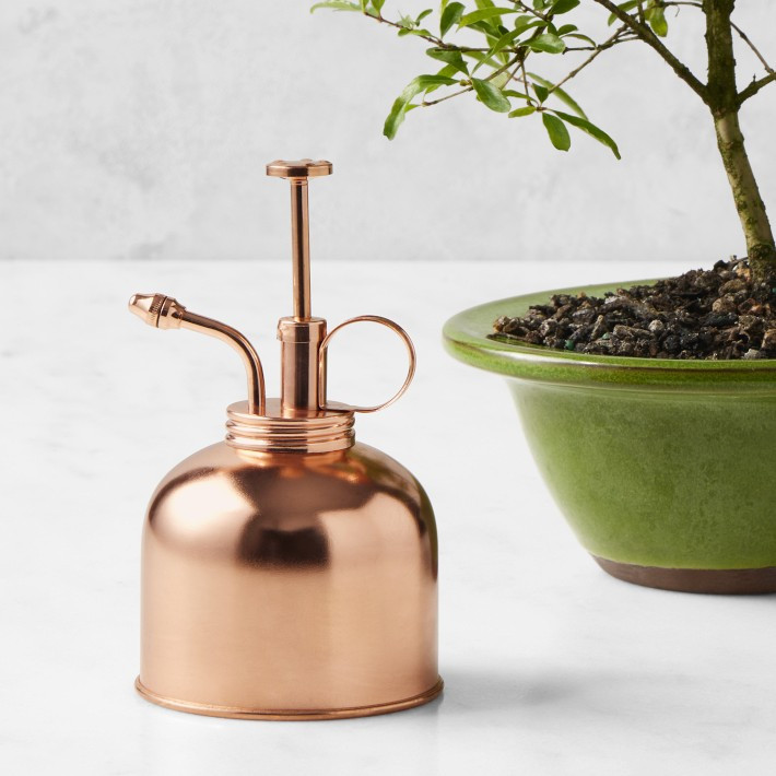 Williams Sonoma Plant Mister | Williams-Sonoma