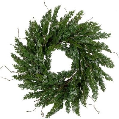 Northlight Real Touch™️ Iced Cedar Artificial Christmas Wreath  - 24" - Unlit | Target