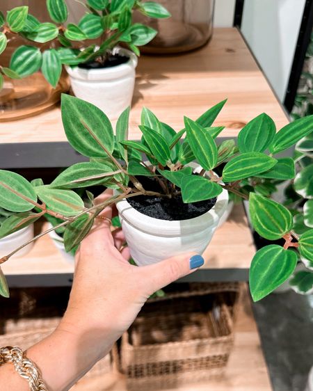How gorgeous are these mini faux plant decor by Studio McGee at Target? 

Which one is your favorite?

#LTKhome #LTKfindsunder50 #LTKstyletip