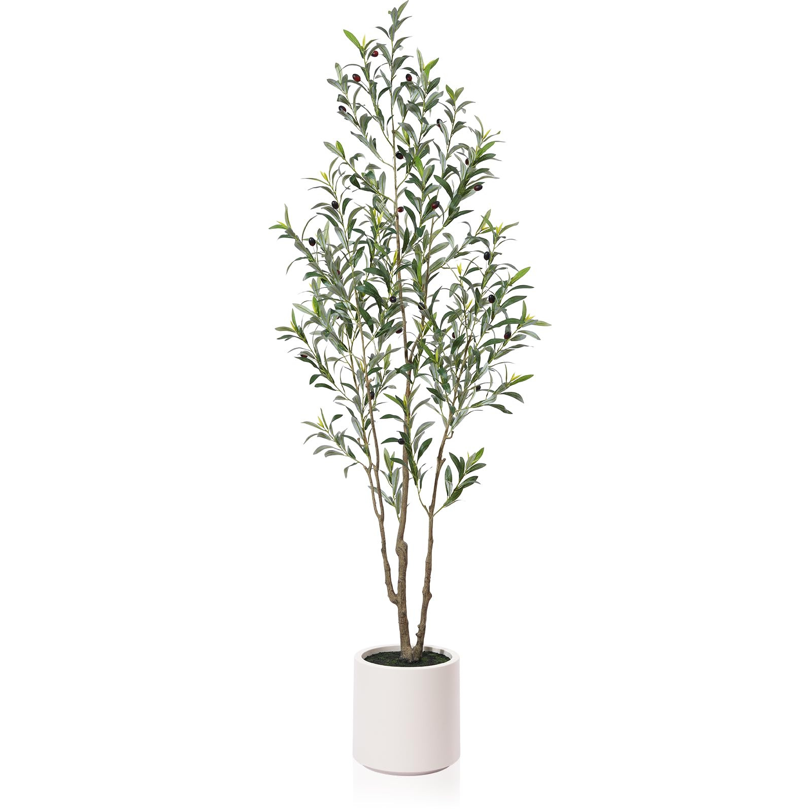 LOMANTO Artificial Olive Trees, 6 ft Tall Fake Olive Trees for Indoor, Faux Olive Silk Tree, Larg... | Amazon (US)