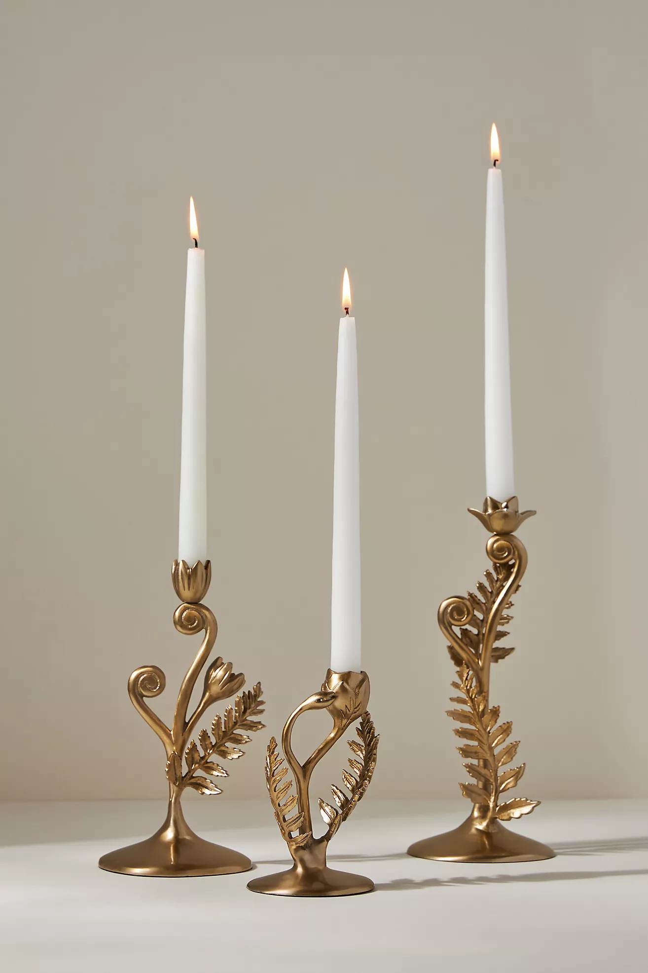 Fiddlehead Fern Taper Candle Holder | Anthropologie (US)