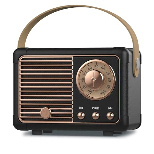 PRUNUS J-999 Retro Bluetooth Speaker,Vintage Decor,Mini Wireless Bluetooth Speaker,Cute Old Fashion Style Support USB/TF Card/AUX for Kitchen Desk Bedroom Office Party Outdoor(Black) | Amazon (US)