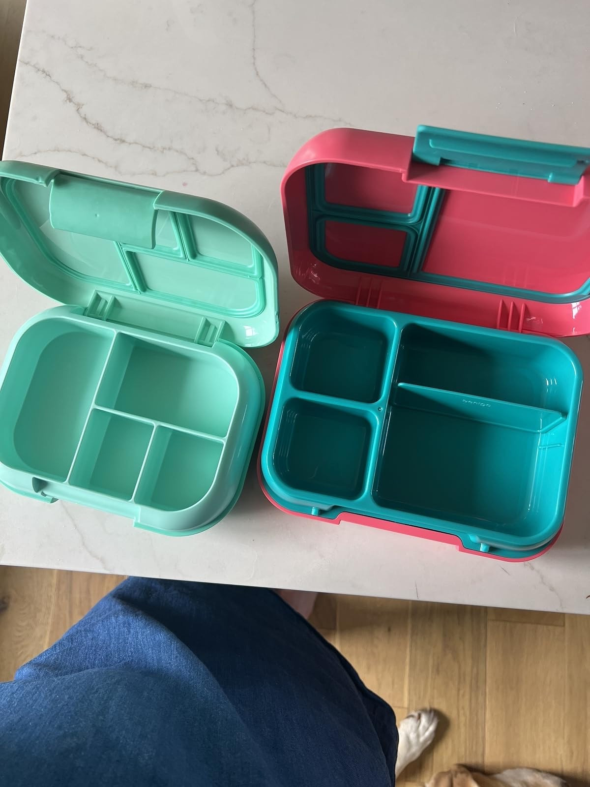 My favorite lunch boxes from Amazon!

#LTKmomlife #LTKSeasonal #LTKKids